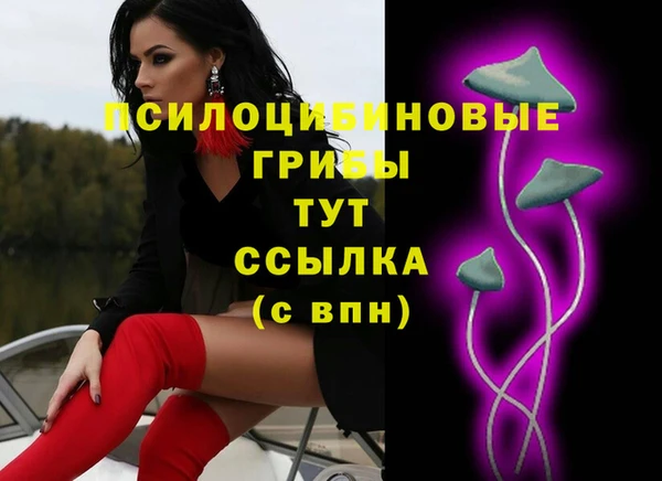 эйфоретик Осташков