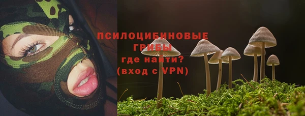 сатива Пересвет