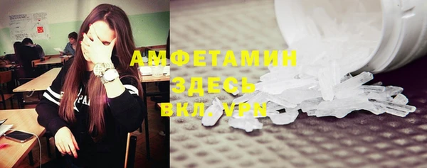 сатива Пересвет