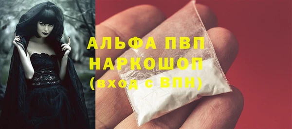 сатива Пересвет