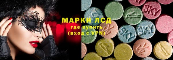 сатива Пересвет