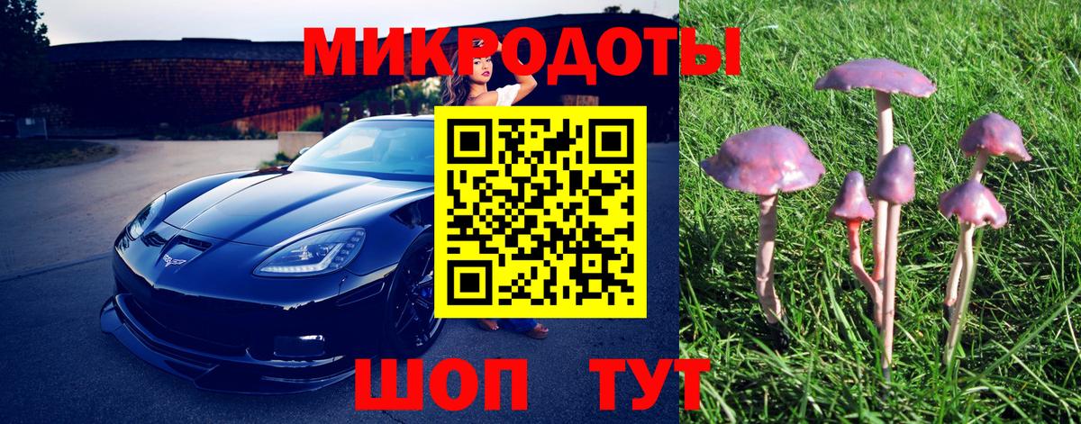 Галлюциногенные грибы прущие грибы  Белогорск 